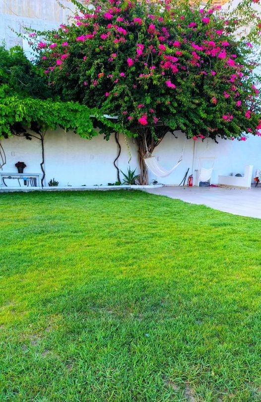 Alta Vista Naxos Aparthotel Naxos City Exterior photo